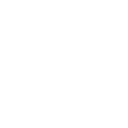 Icon Fulfillment System Automation